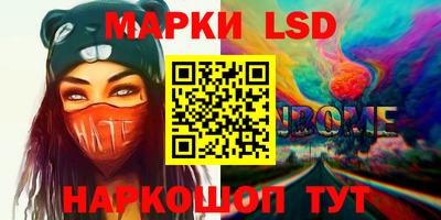 a pvp Кингисепп