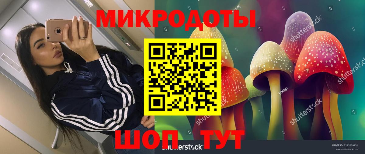 Уварово  Псилоцибиновые грибы прущие грибы  Вход с VPN 